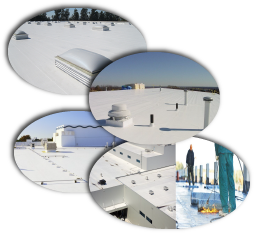 Northbay Roofing & Gutter Co. Images